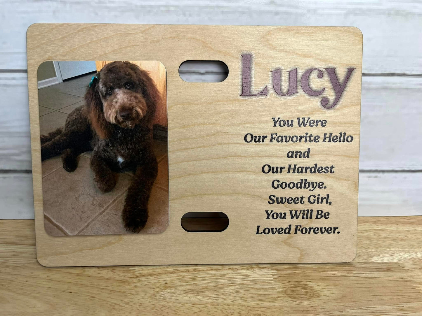 Dog Memory with Collar Holder